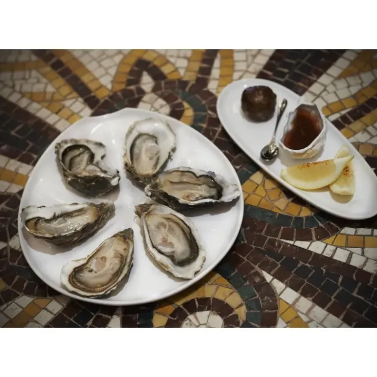 Hot REVOL Assiette à Huîtres Blanche 26 x 24 cm Impulse