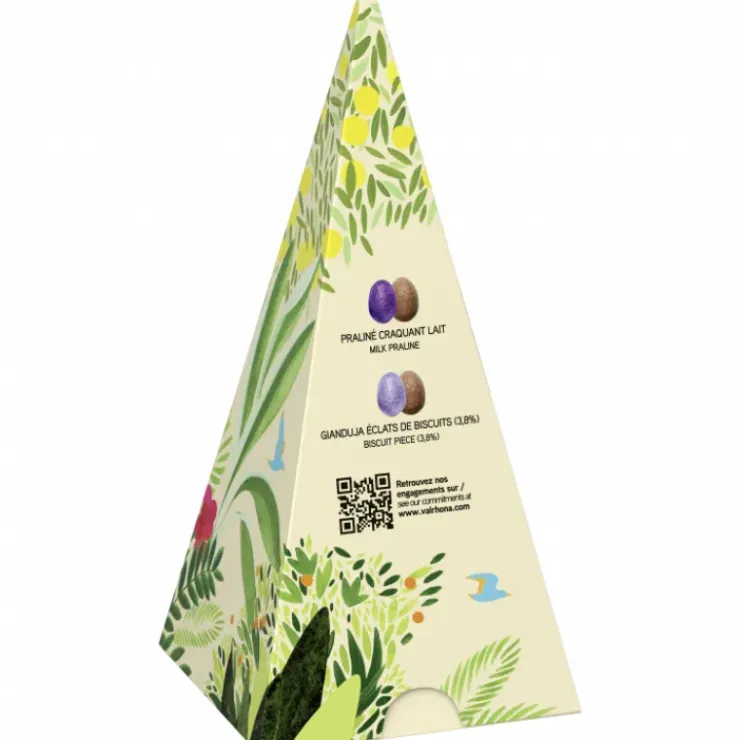 Clearance VALRHONA Assortiment Œufs en Chocolat au Lait Praliné et Gianduja 100 g