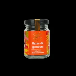 Hot UN JOUR UNE EPICE Baie de Genièvre 28 g