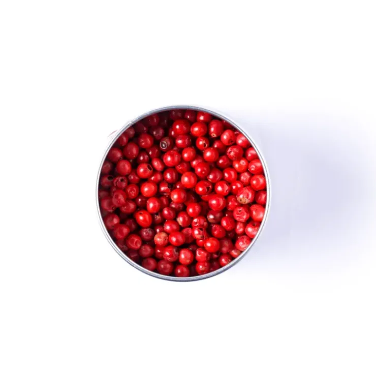 New TERRE EXOTIQUE Baies Roses 75 g