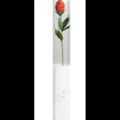 Best CHOCOLATE WORLD Boites Transparentes pour Fleur en Chocolat x200