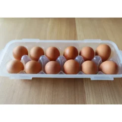LOCK AND LOCK Boîte 12 Œufs Plastique 32 x 13 cm x H 7,5 cm