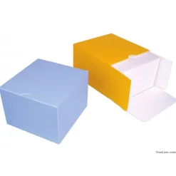 Discount MALLARD FERRIERE Boîte Isotherme Carré 24 cm Vert (x25)