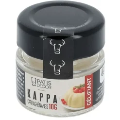 Outlet PATISDECOR Carraghénanes Kappa 10 g Patisdécor