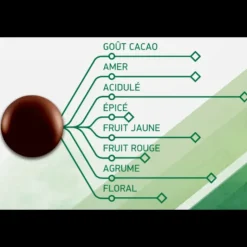 Discount BARRY Chocolat Noir Evocao 72% 2,5 kg