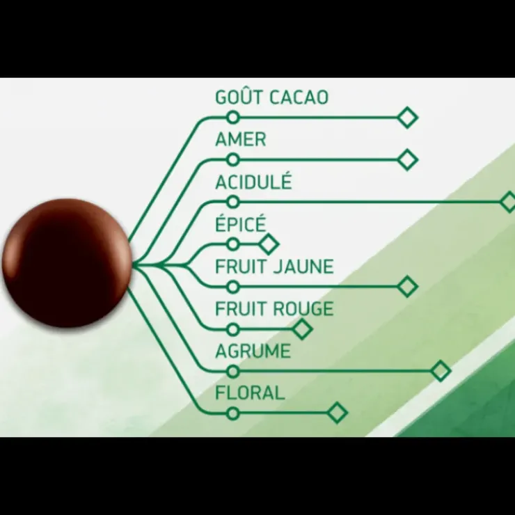 Discount BARRY Chocolat Noir Evocao 72% 2,5 kg