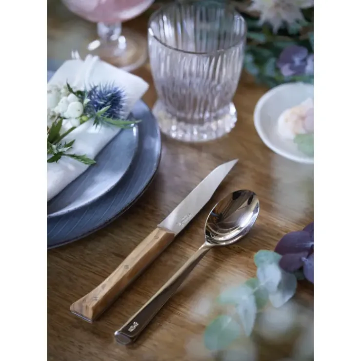 Sale OPINEL Coffret 4 Couteaux de Table Olivier Facette