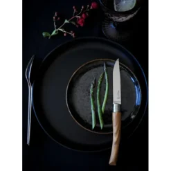 New OPINEL Coffret 4 Couteaux de Table Olivier Table Chic