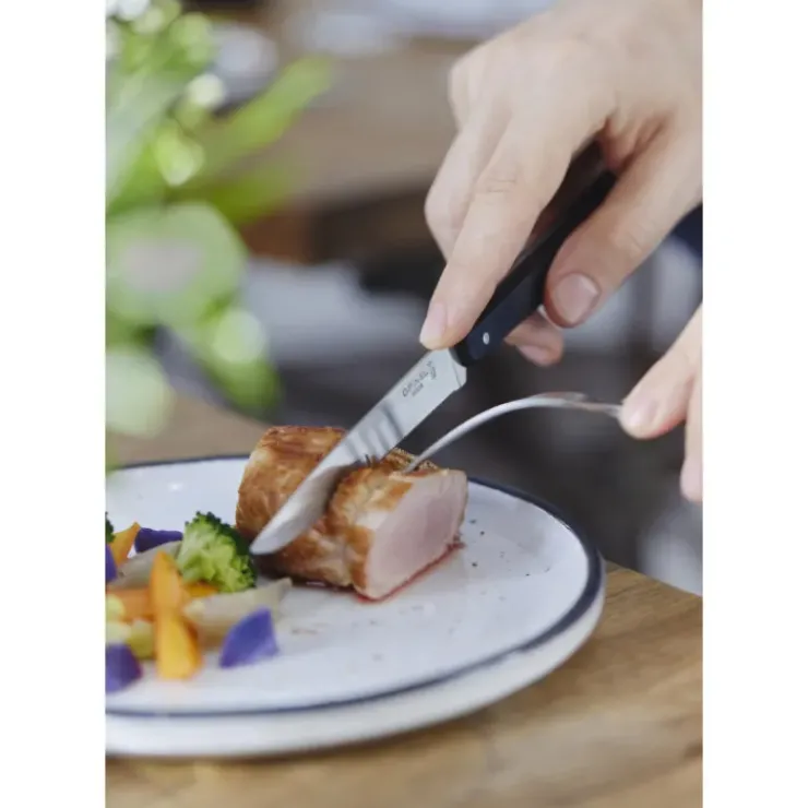 OPINEL Coffret 4 Couteaux de Table N°125 Pro Bon Appétit +