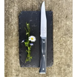 Best OPINEL Coffret 4 Couteaux de Table Ardoise Facette