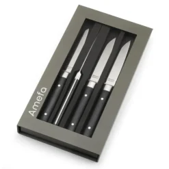 AMEFA Coffret 4 Couteaux Steak Fusion 22 cm