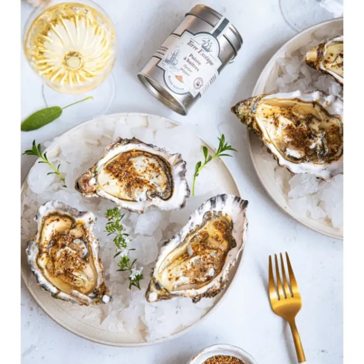 TERRE EXOTIQUE Coffret Huîtrier