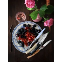 Hot OPINEL Coffret Panaché 4 Couteaux de Table Table Chic