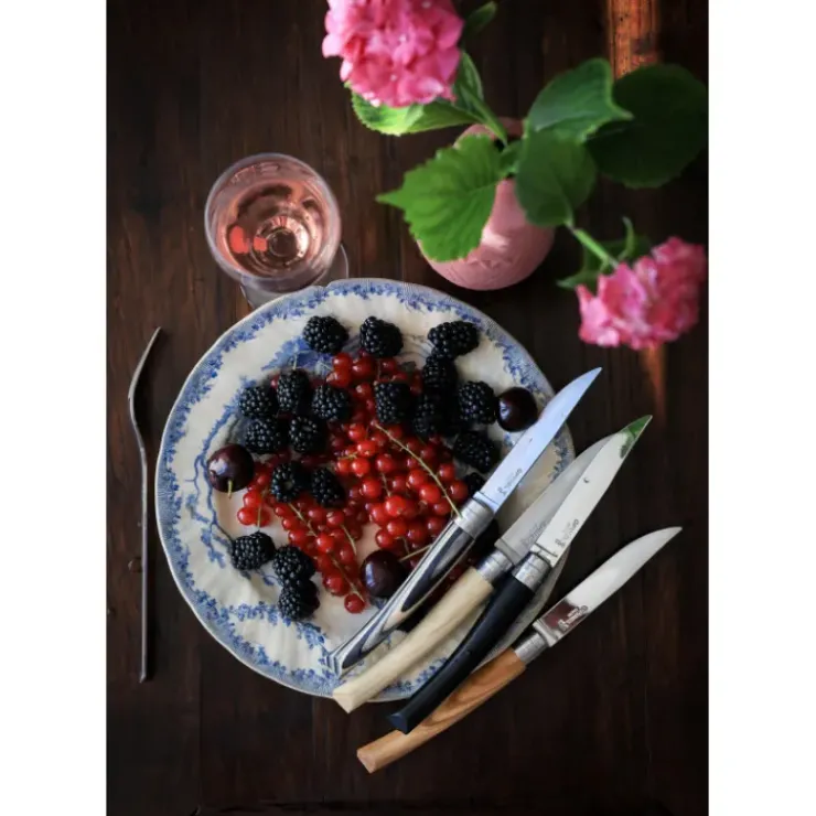 Hot OPINEL Coffret Panaché 4 Couteaux de Table Table Chic