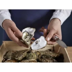 Online OPINEL Couteau à Huîtres N°9