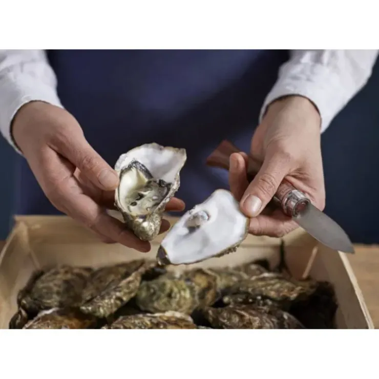 Online OPINEL Couteau à Huîtres N°9