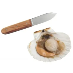 Outlet La Bonne Graine Couteau Coquille Saint Jacques Tellier