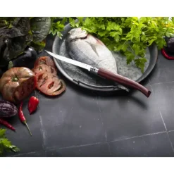 Clearance OPINEL Couteau de Poche Effilé N°12 en Inox