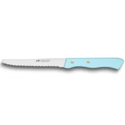 Best SABATIER Couteau de Table Cranté 10,5 cm Turquoise