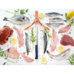 Discount OPINEL Couteau Effilé N°221 Intempora