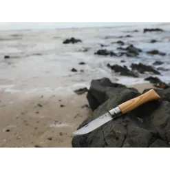 Best OPINEL Couteau N°9 avec Manche en Olivier