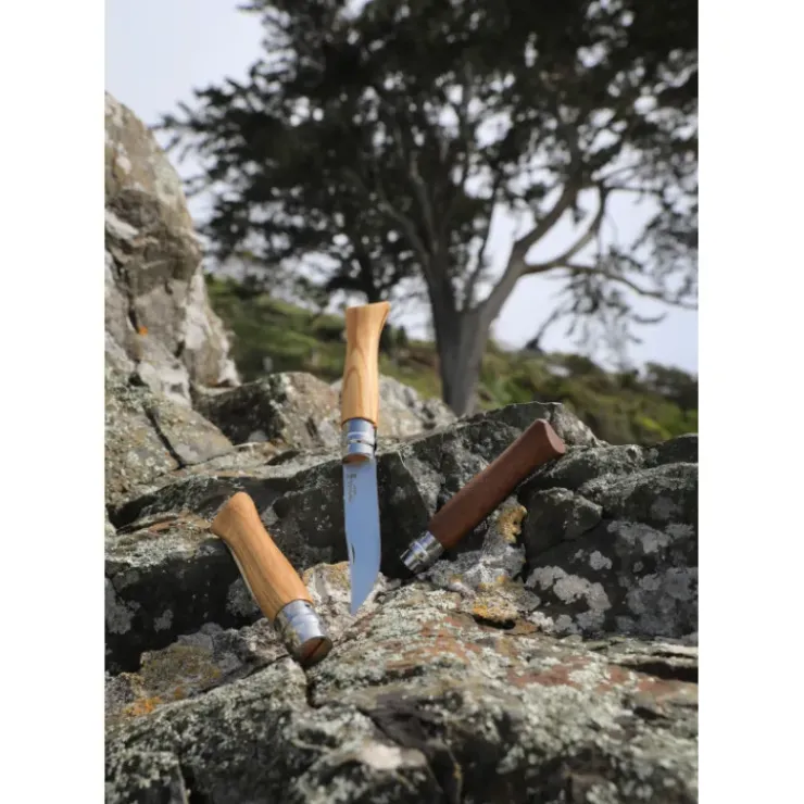 Best OPINEL Couteau N°9 avec Manche en Olivier
