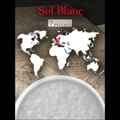 Best PEUGEOT Cristaux de Sel Blanc d'Allemagne Sachets 50 g (x7)
