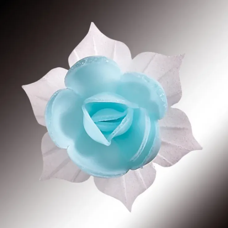 Discount FLORENSUC Fleurs de Jonquille bleue x5 - en Azyme