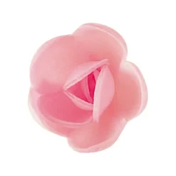 Best FLORENSUC Fleurs de rose blanches et roses x6, grandes feuilles x12 - en Azyme