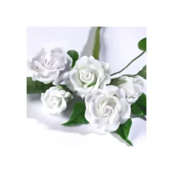 Best RENSHAW Gum Paste Blanc 250 g