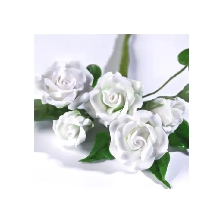 Best RENSHAW Gum Paste Blanc 250 g