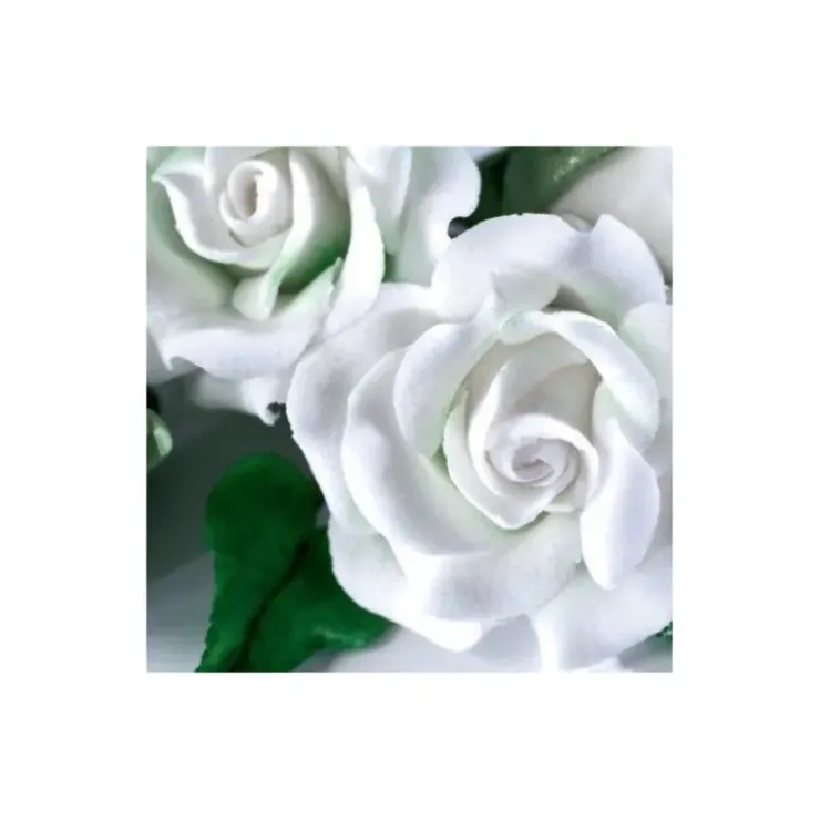 Best RENSHAW Gum Paste Blanc 250 g