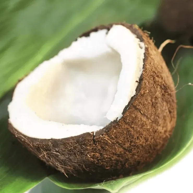 Online TERRE EXOTIQUE Huile de Coco 150 ml