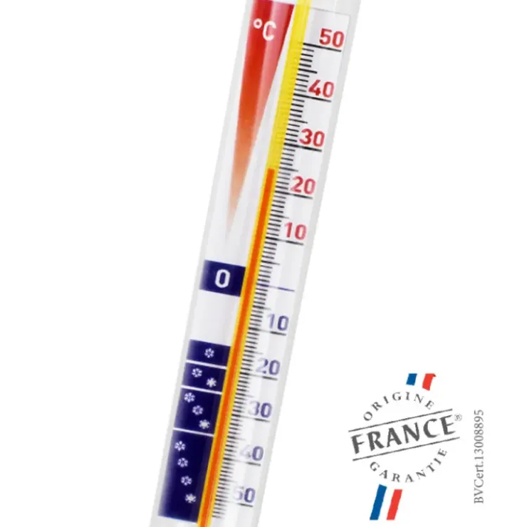 Sale ALLA FRANCE Mini Thermomètre Vertical en Verre