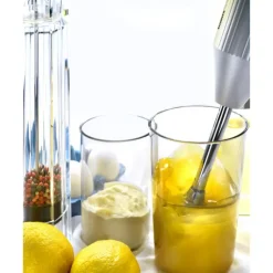 Best BAMIX Mixeur Plongeant M250 - Coffret Black Edition