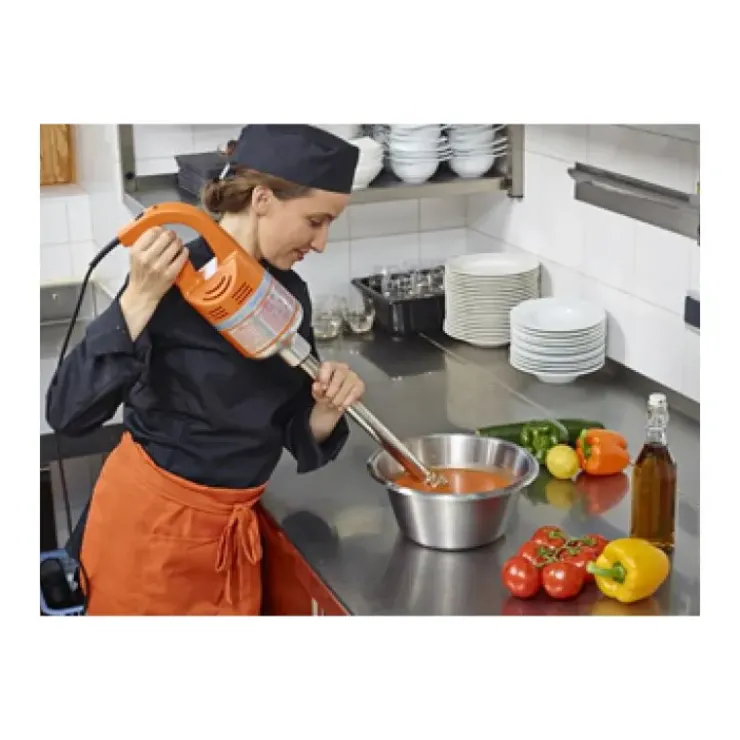 Clearance DYNAMIC Mixeur Plongeant Master DMX 410.H