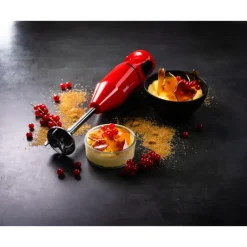 Hot BAMIX Mixeur Plongeant Sans Fil Cordless Rouge