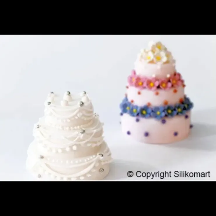 MALLARD FERRIERE Moule 6 Dômes à Etages en silicone