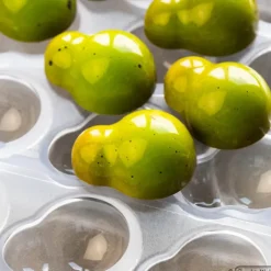 Discount CHOCOLATE WORLD Moule Chocolat Andrey Dubovik 27,5 x 36,5 mm (x21)