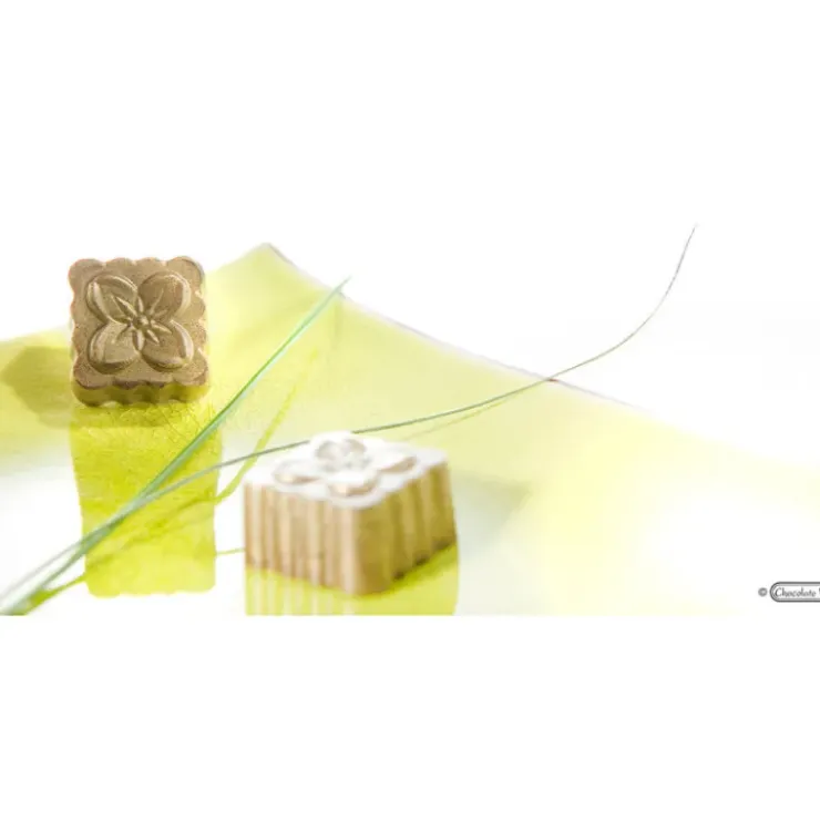 Hot CHOCOLATE WORLD Moule Chocolat Bonbon Fleur Jeffery Koo (x24)