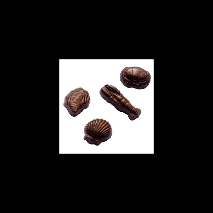 BARRY Moule Chocolat Coquillages et Crustacés (x24)