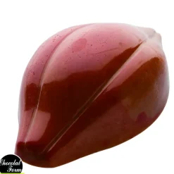 Clearance Chocolat Form Moule Chocolat Fève Cacao 47,5 mm (x24)