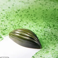 Best CHOCOLATE WORLD Moule Chocolat Fève de Cacao 6 lignes 4,8 x 2,1 cm (x21)