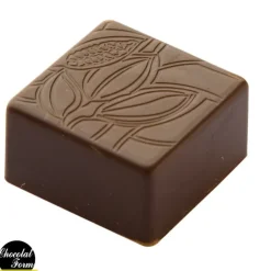 Discount Chocolat Form Moule Chocolat Praline Carrée Fève 2,5 cm (x24)