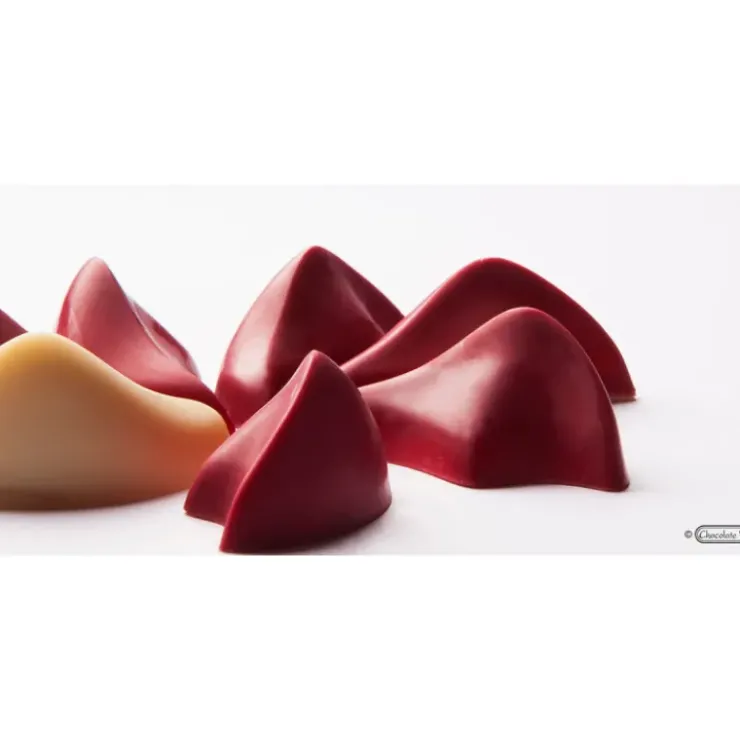 Sale CHOCOLATE WORLD Moule Chocolat Pétale 45x31 mm (x21)