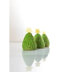 SILIKOMART Moule Silicone 5 Mûres et Framboises 110ml Professional