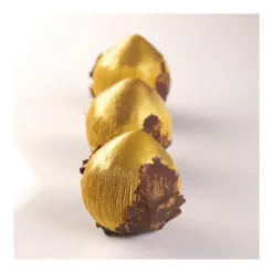 Outlet PAVONI Moule Silicone 8 Noisettes 82 ml Cédric Grolet