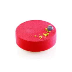 Outlet SILIKOMART Moule Silicone 15 Ronds Ø10,5 x H4 cm 341ml Professional