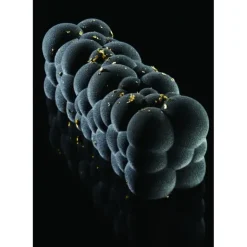 Discount PAVONI Moule Silicone Bûche Atomic 25 x 8 cm x H 8 cm