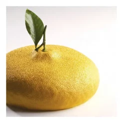 PAVONI Moule Silicone Citron 1215 ml Cédric Grolet